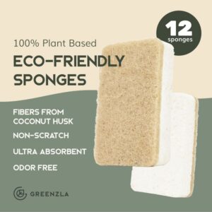 ECO-Friendly Sponges