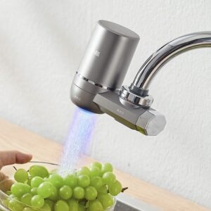 Sogee Faucet Mount Water Filter